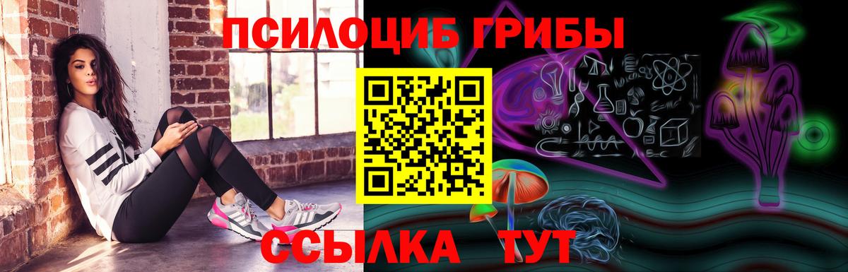 Псилоцибиновые грибы ЛСД Рязань